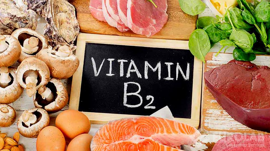 Gıda Ürünleri Devam Formülleri, B2 Vitamini (Riboflavin veya Fosfatı) Analizleri